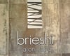 breishi-salon-1